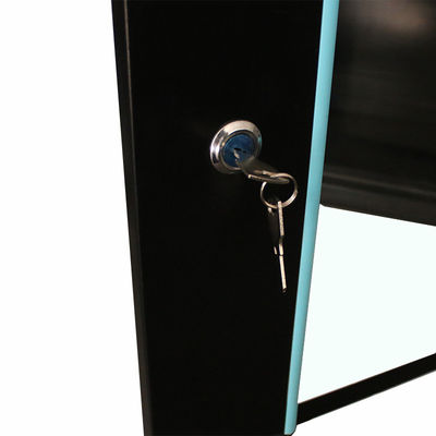 9U Data Center Server Rack Cabinet κατασκευασμένο από SPCC ψυχρό ελαστικό χάλυβα για δίκτυο γραφείου